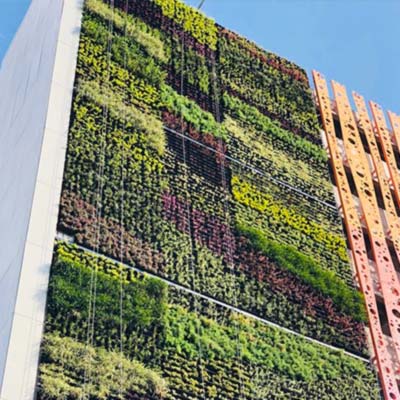 muro verde naranja