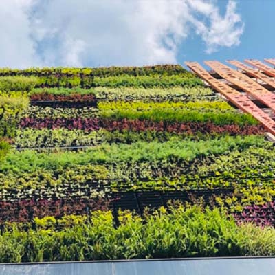 muro verde naranja