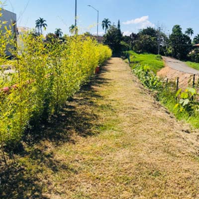 paisaje ARA Pereira