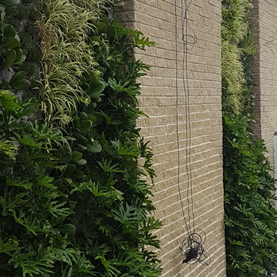 muro verde incca
