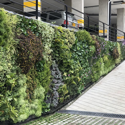 muro verde montebelo